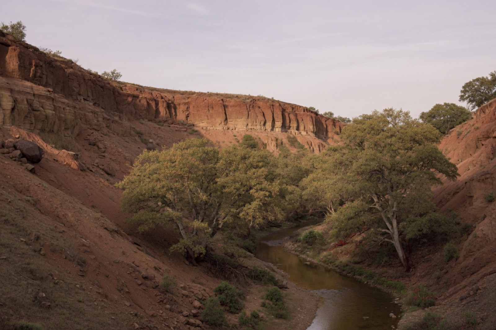 Creek bluffs