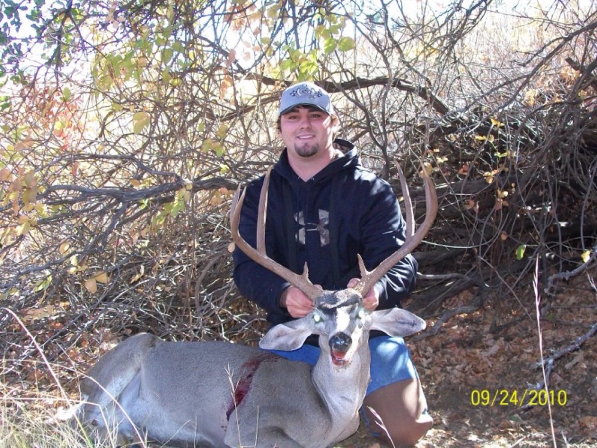Blacktail buck