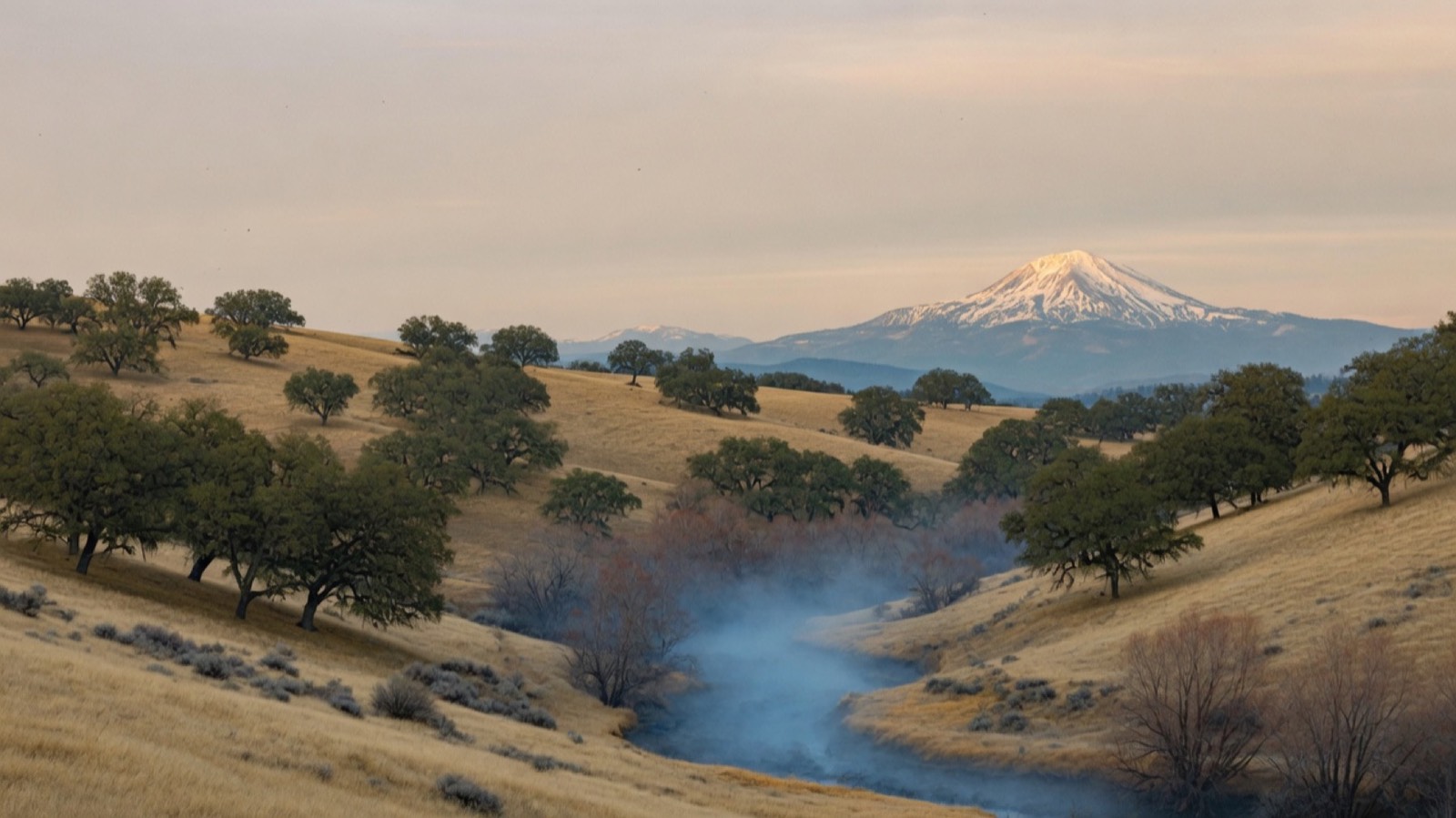 Oak savanna and a snow peak