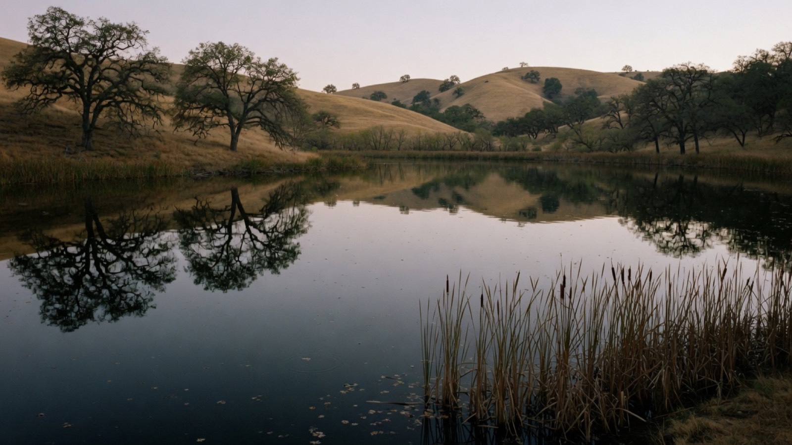 Bass pond at dusk
